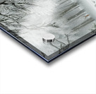 a serene and picturesque winter scene with a gent Acrylic print