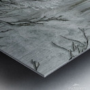 a serene and picturesque winter scene with a gent Metal print