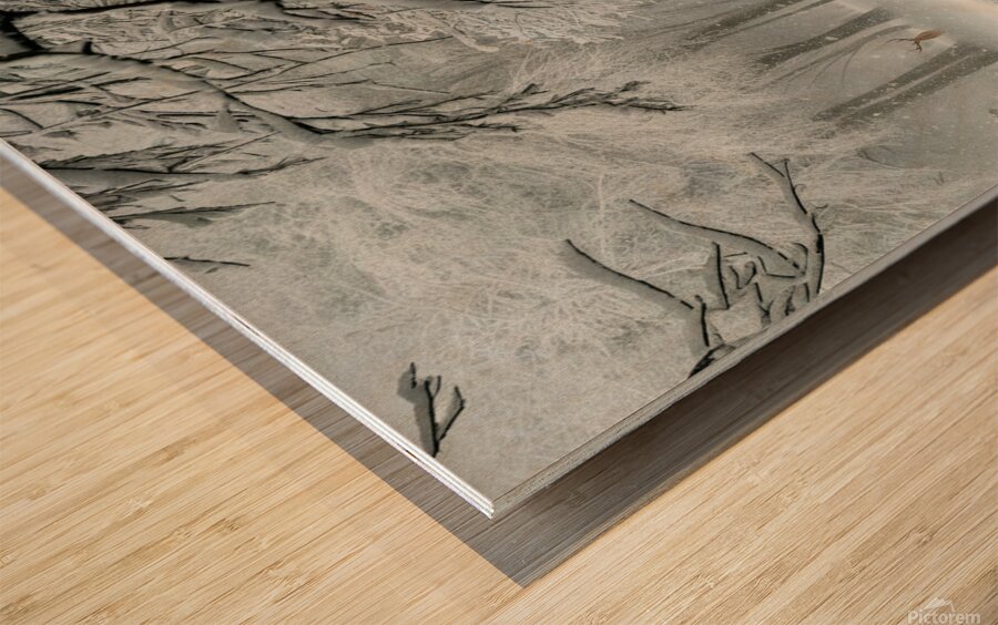 a serene and picturesque winter scene with a gent Wood print