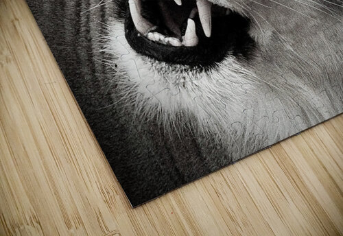 Say Cheese  Amanda Melia Art puzzle