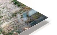 Chillin HD Metal print