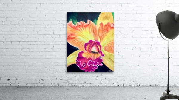 Orchid Wall Preview