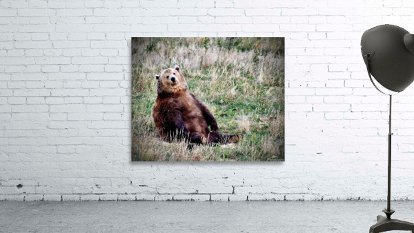 Chillin Wall Preview