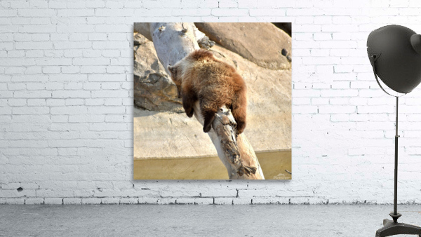 Naptime Wall Preview