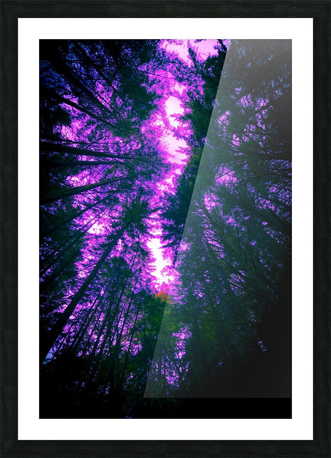 6U1A8399 Picture Frame print