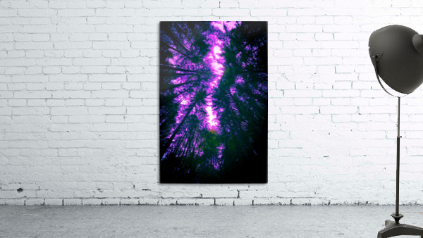 6U1A8399 Wall Preview