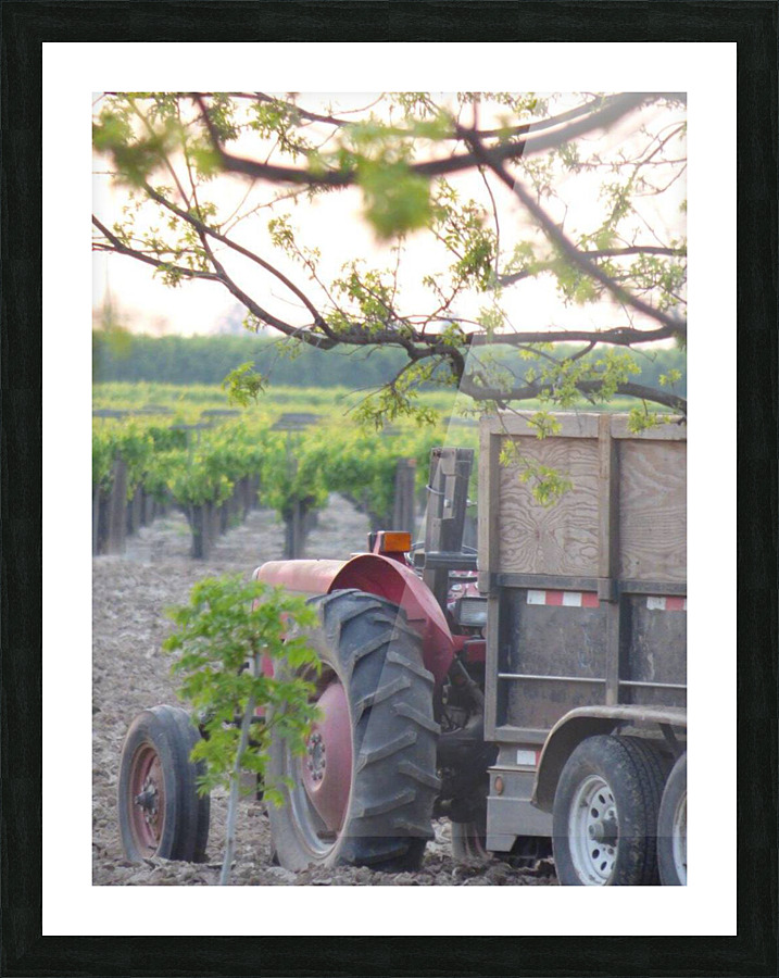 tractor Picture Frame print