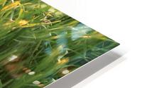 tmp53 HD Metal print