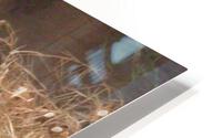 Picture 076 HD Metal print