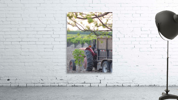 tractor Wall Preview