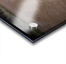 IMG 8055 Acrylic print