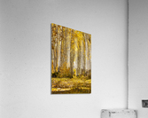 Autumns Path Acrylic Print