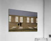American Avocet  Acrylic Print