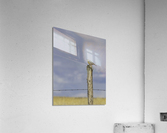 Western Meadowlark  Acrylic Print