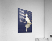 Snowy Egret  Acrylic Print