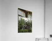 IMG 9884 Edit Acrylic Print