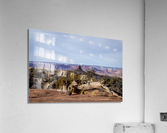 IMG 0325 Acrylic Print