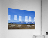 IMG 8677 Acrylic Print
