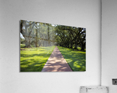 IMG 4030 Acrylic Print