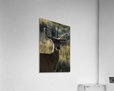 IMG 3270 Acrylic Print