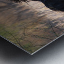 Spirit Metal print