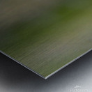 IMG 0154 2A Metal print