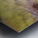 IMG 8630 Metal print