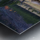 IMG 8827 Metal print