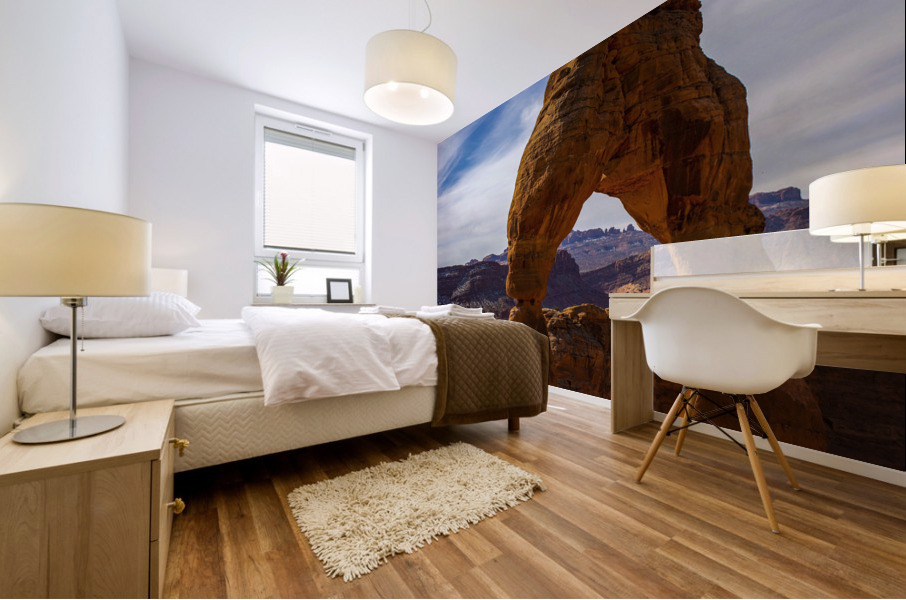 Delicate Arch Mural print