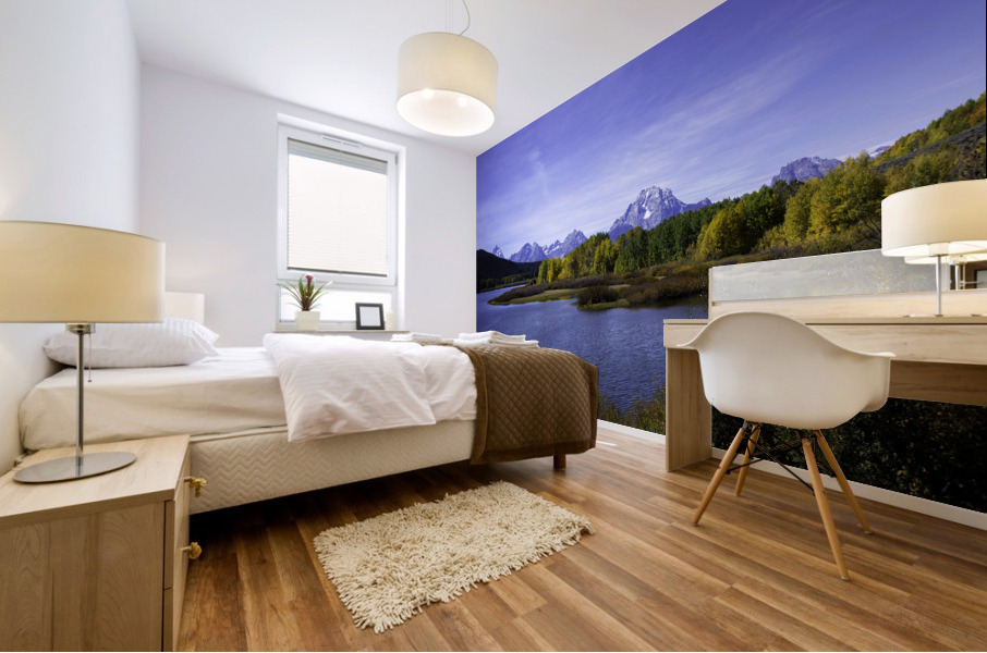 Oxbow Bend  Mural print