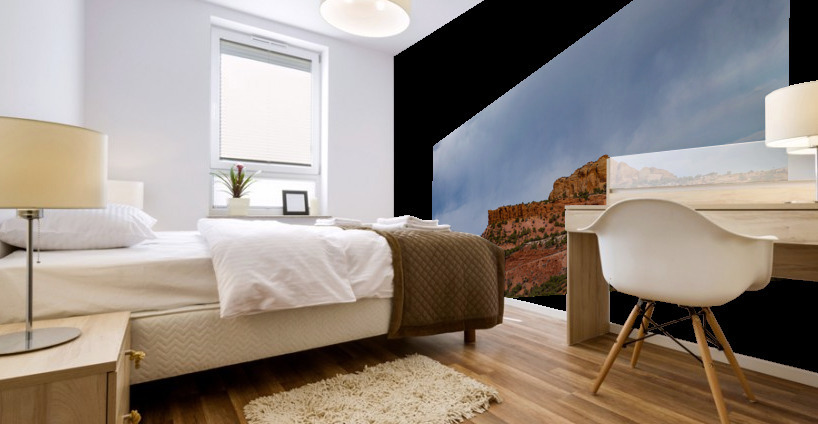Red Fleet  Mural print
