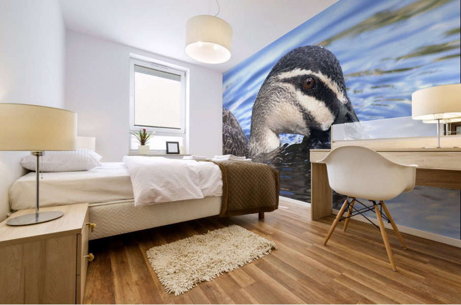 Duck Mural print