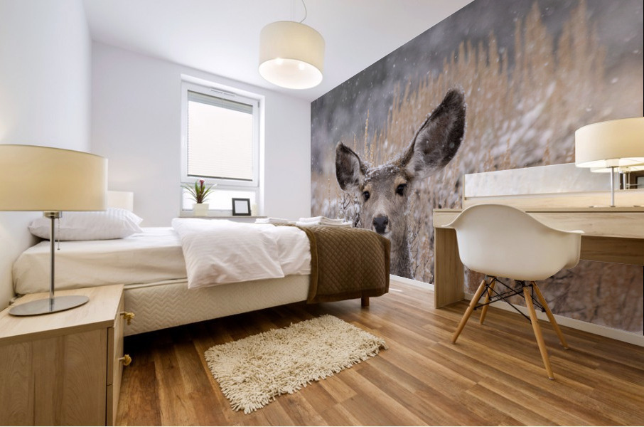 Snow Doe Mural print