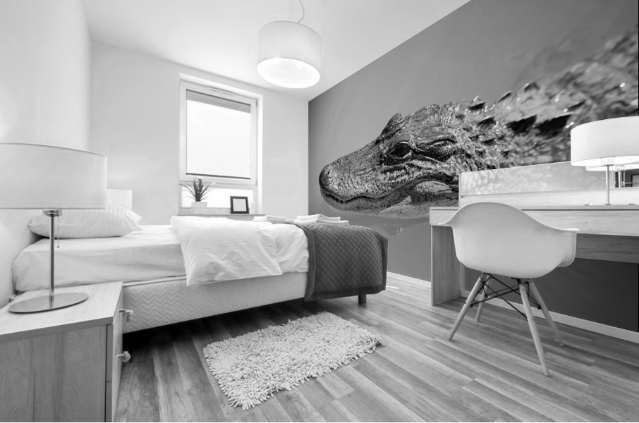 American Alligator  Mural print