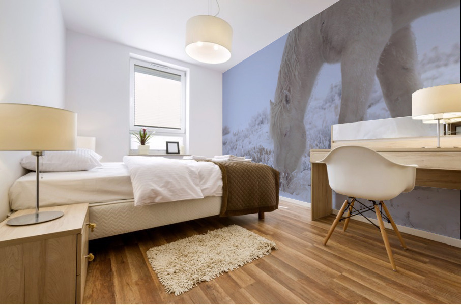 White Stallion  Mural print