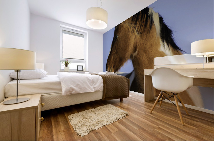 Wild Mustang Mural print