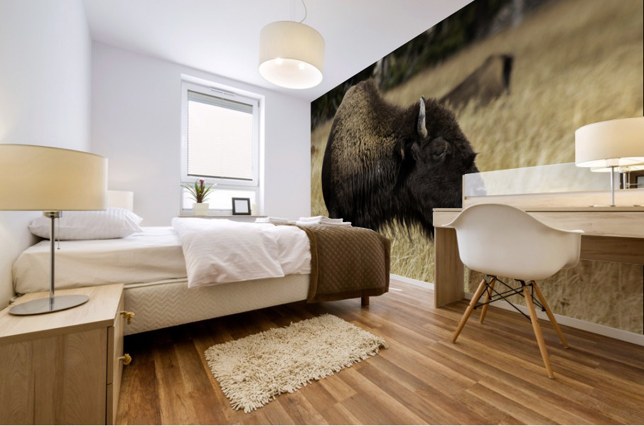 Bison Mural print