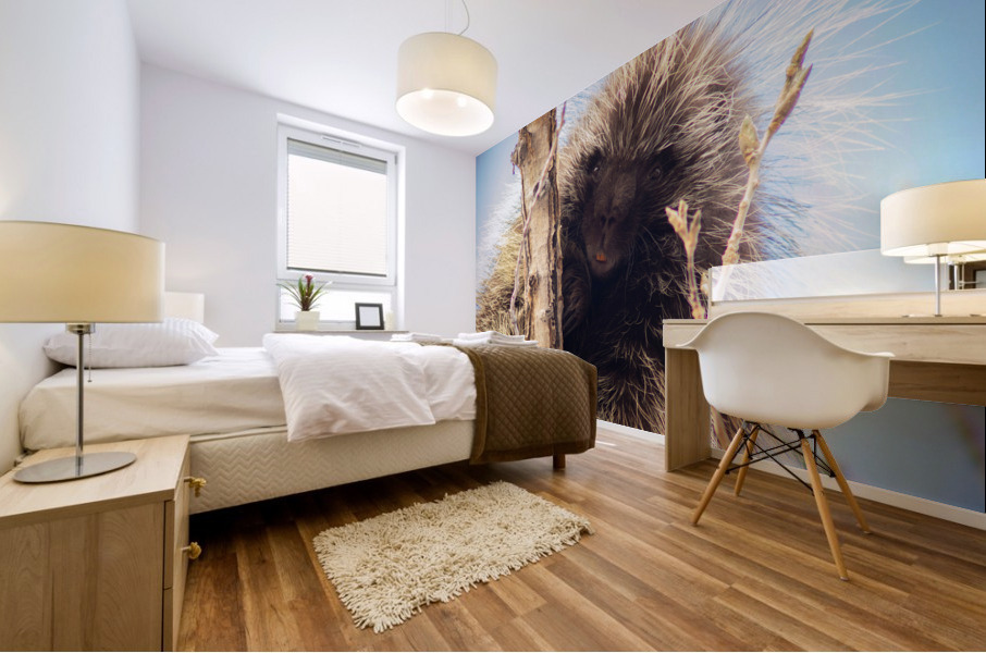 Porcupine 2 Mural print