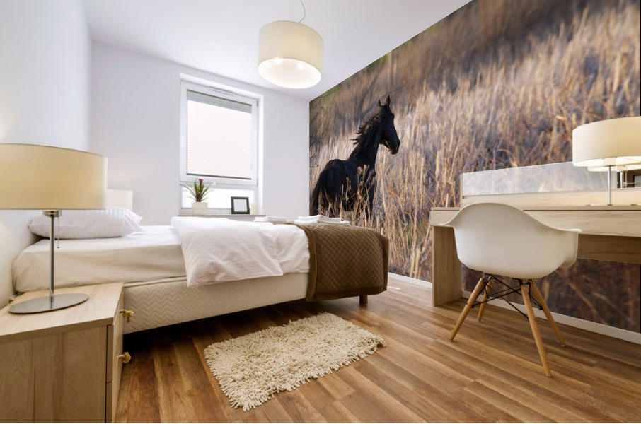 Spirit Mural print