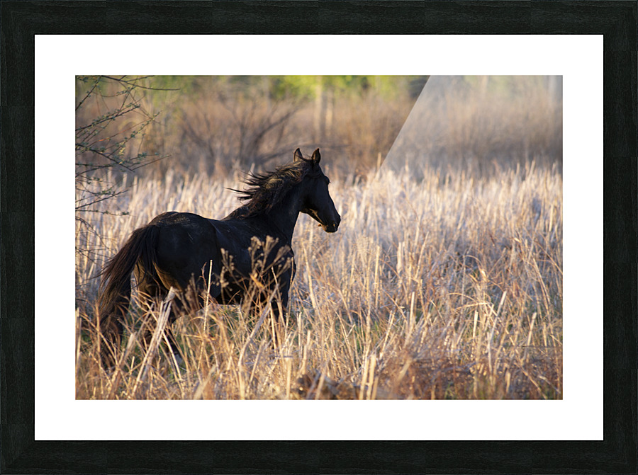 Spirit Picture Frame print