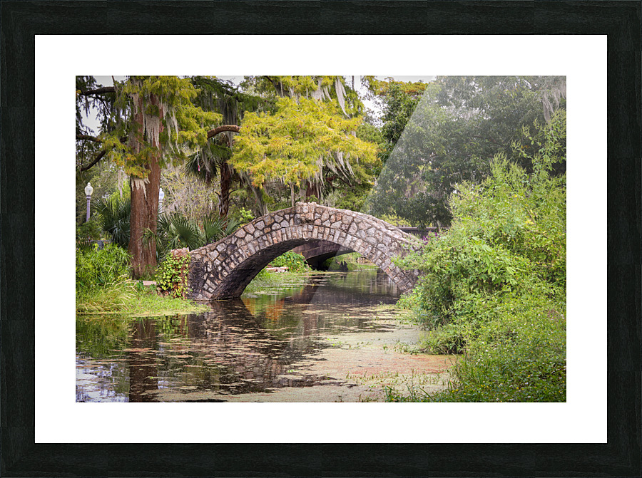 IMG 4342 3 Picture Frame print