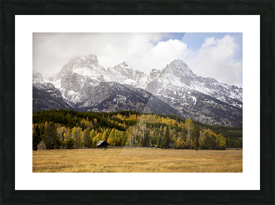 IMG 9148 Picture Frame print