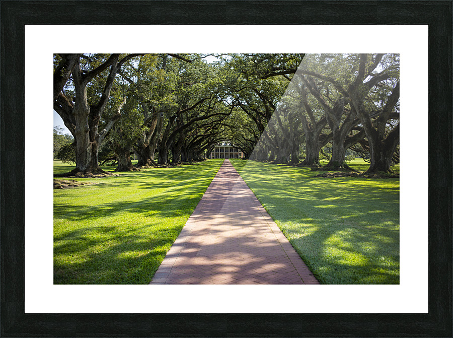 IMG 4030 Picture Frame print