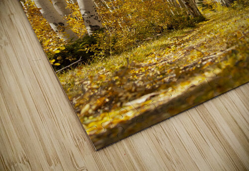Autumns Path Chris Casanova puzzle