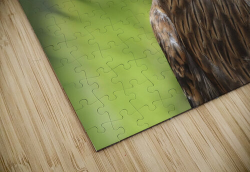 Hawk Chris Casanova puzzle