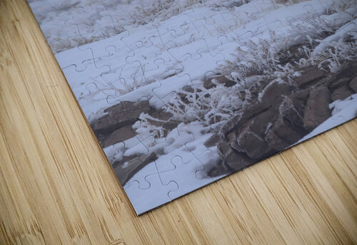 White Stallion  Chris Casanova puzzle