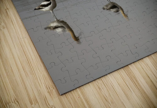 Three Stoges Chris Casanova puzzle