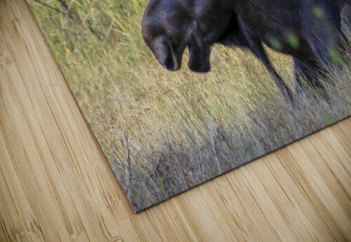 No Worries Chris Casanova puzzle