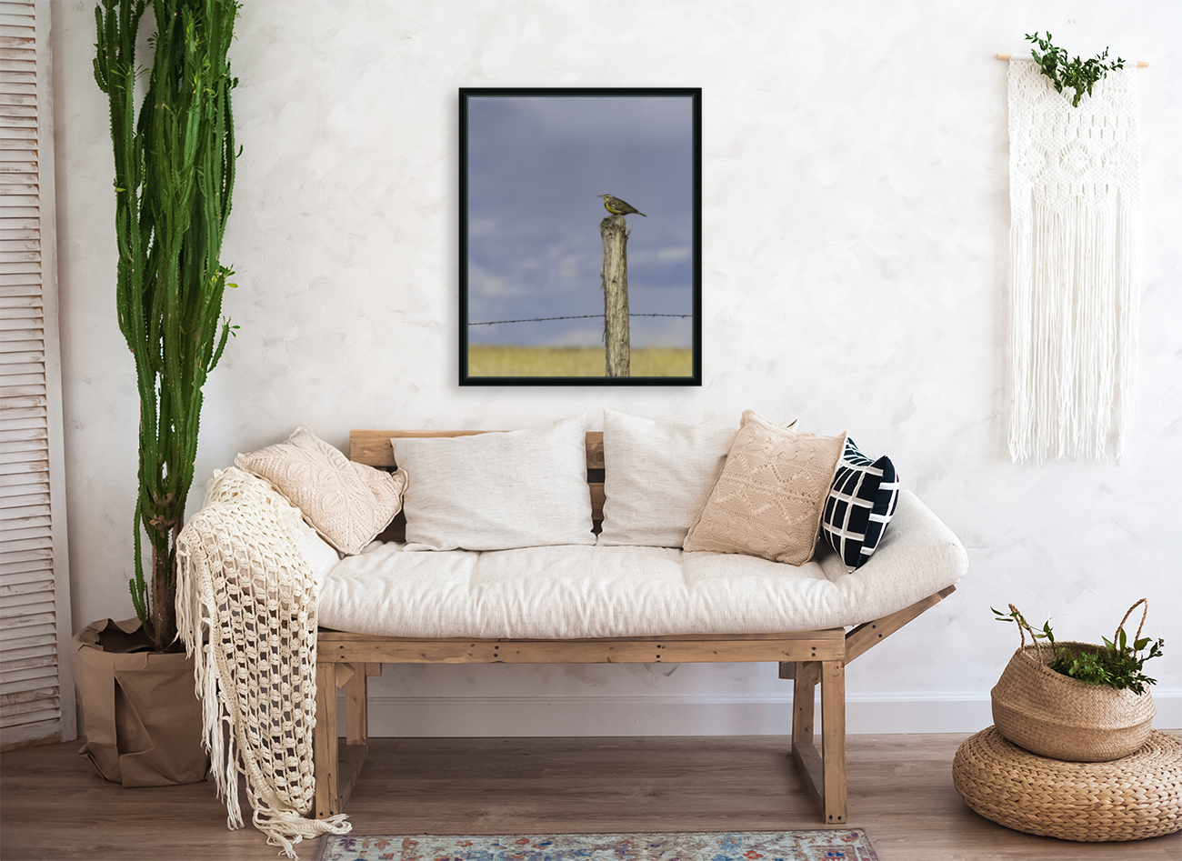Western Meadowlark  Reproduction