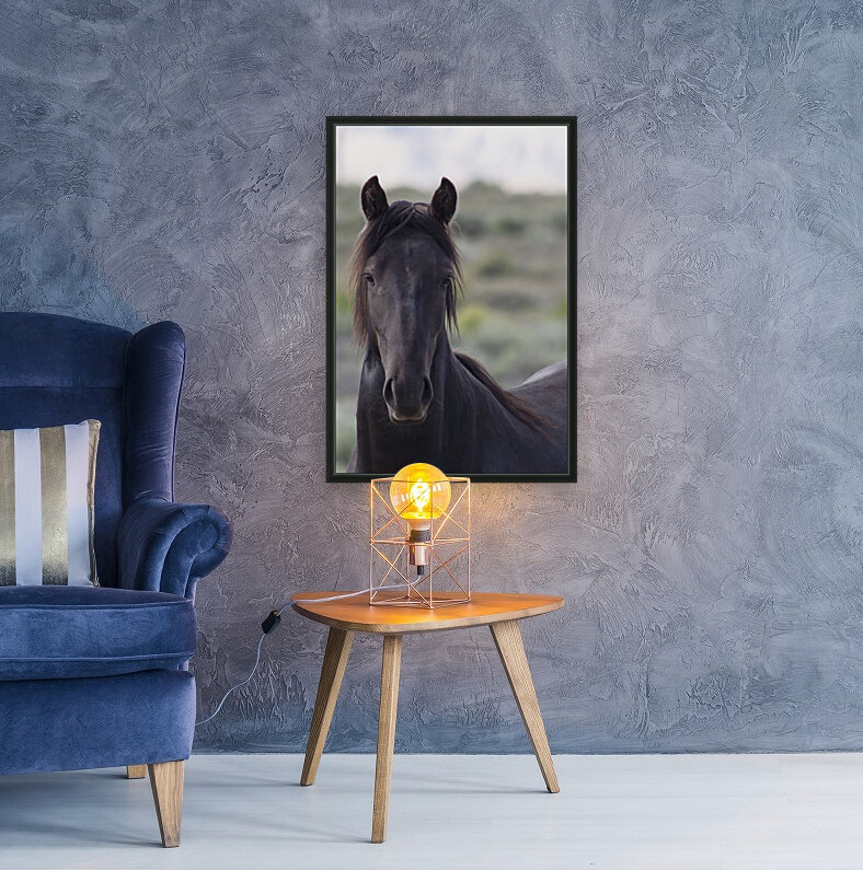 Horse Portrait Reproduction